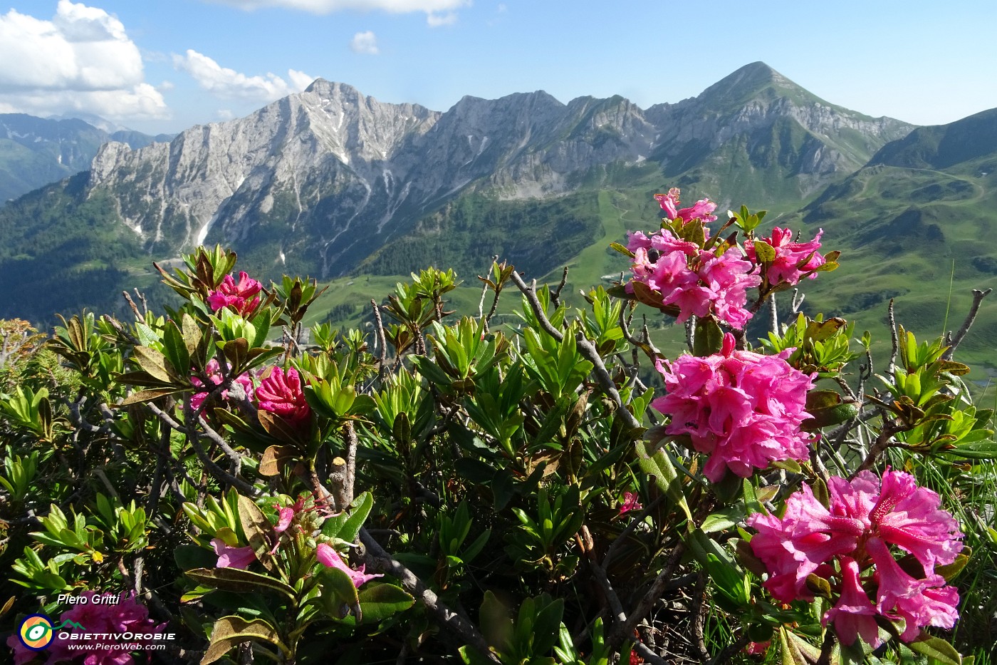 81 Scendendo da Cima Lemma vista panoramica verso la costiera Cavallo-Pegherolo.JPG -                                